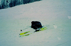 888-035-03.jpg (47615 bytes)