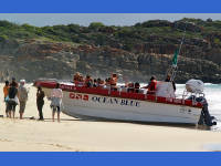 Click for larger image.