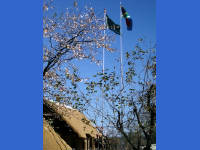 Click for larger image.