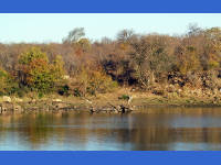 Click for larger image.